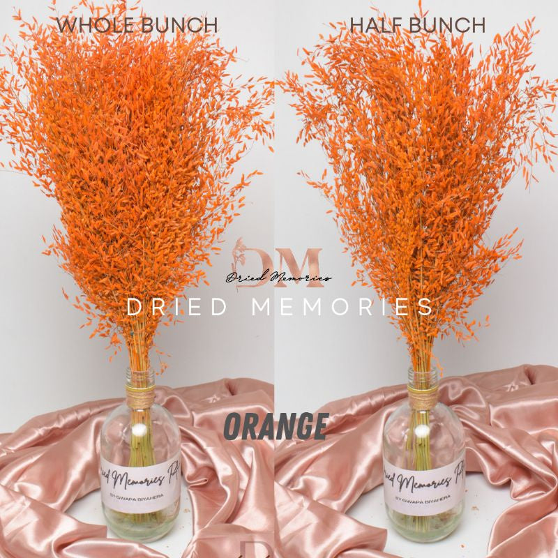Dried Wild Misty Love Grass Flowers Gift Wedding Party Home Birthday DIY Dried Memories PH