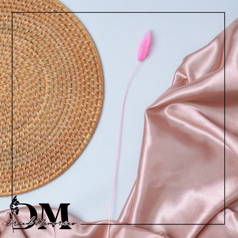 Dried Bunnytail Flowers (1 Stem) Real Lagurus Gift Wedding Party Home Birthday DIY | Dried Memories