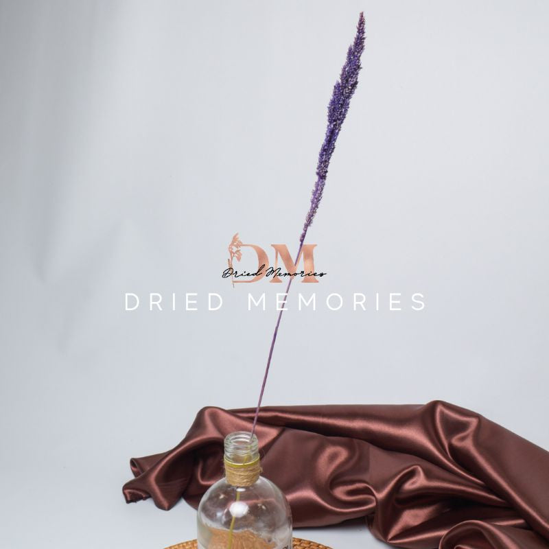 Dried Local Trigo (1 Stem) Real flower Hare Decor Gift Wedding Party Home Birthday DIY