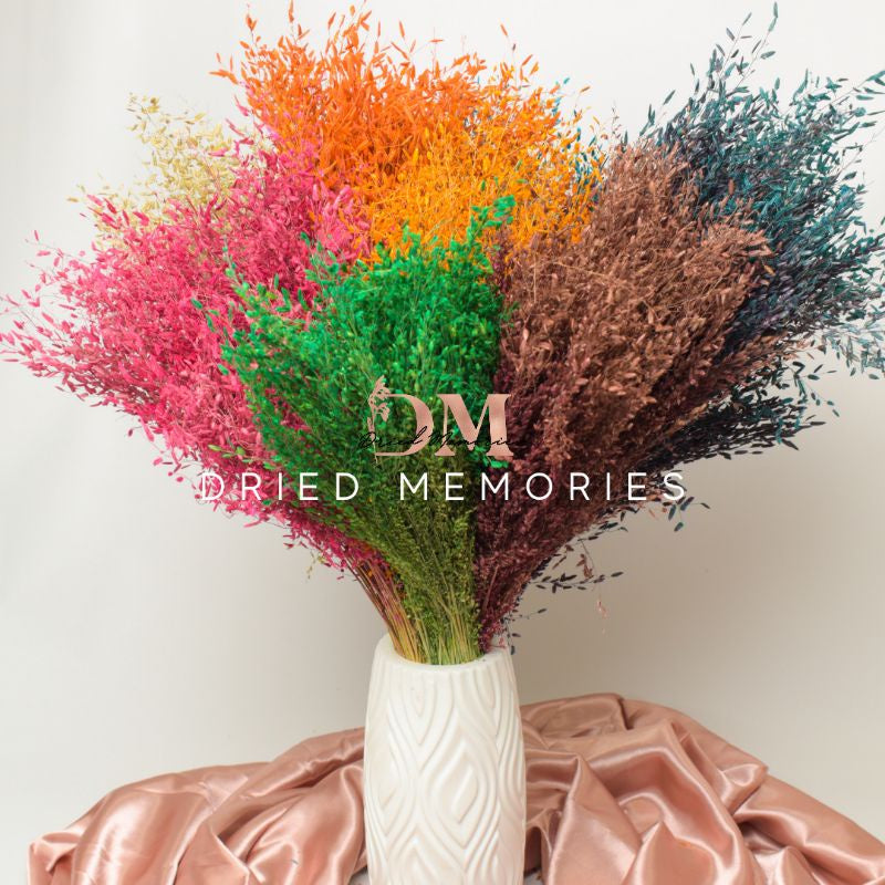 Dried Wild Misty Love Grass Flowers Gift Wedding Party Home Birthday DIY Dried Memories PH