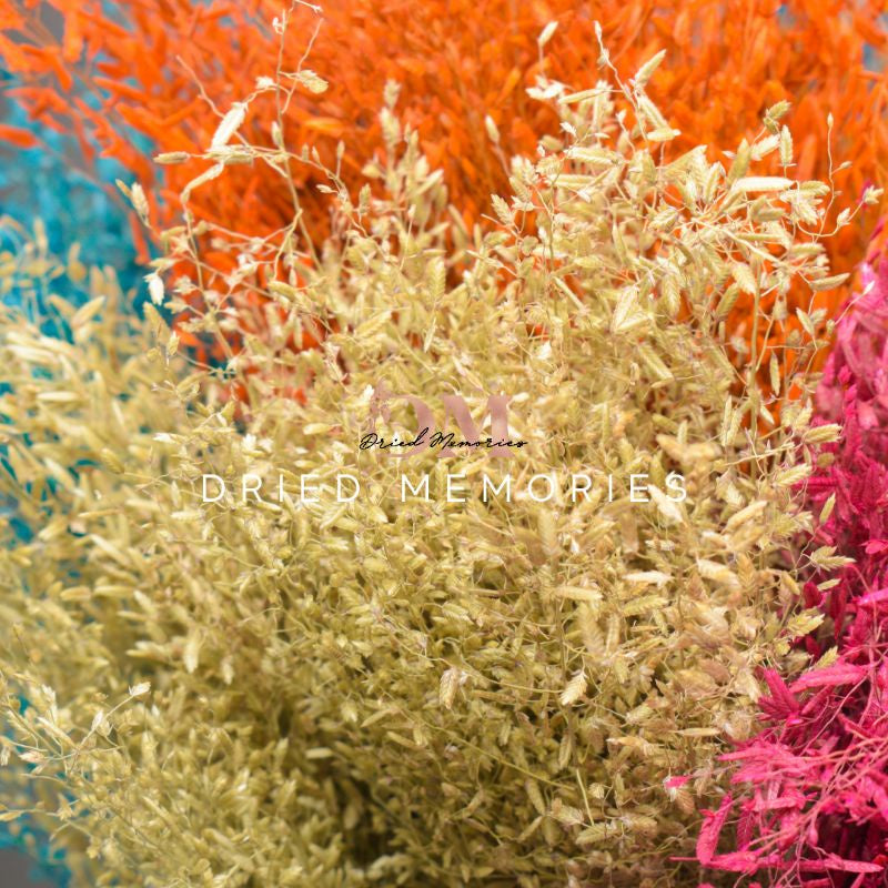 Dried Wild Misty Love Grass Flowers Gift Wedding Party Home Birthday DIY Dried Memories PH