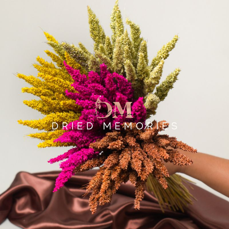 Dried Local Trigo (1 Stem) Real flower Hare Decor Gift Wedding Party Home Birthday DIY