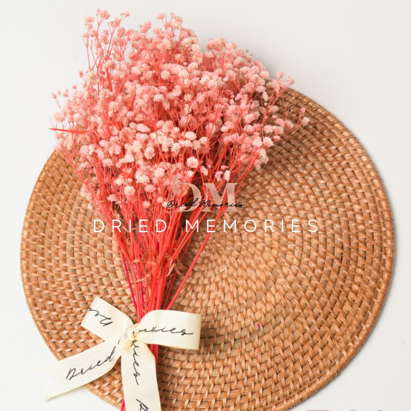 Babysbreath Medium Preserved Real Gypsophila Dried Flower Gift Wedding Party Home Birthday DIY