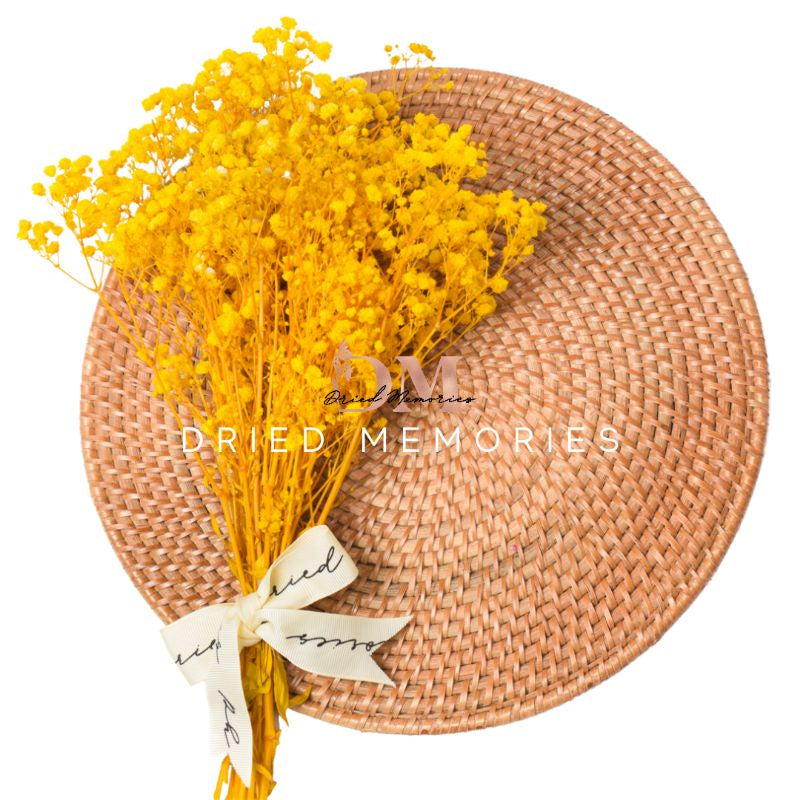 Babysbreath Medium Preserved Real Gypsophila Dried Flower Gift Wedding Party Home Birthday DIY