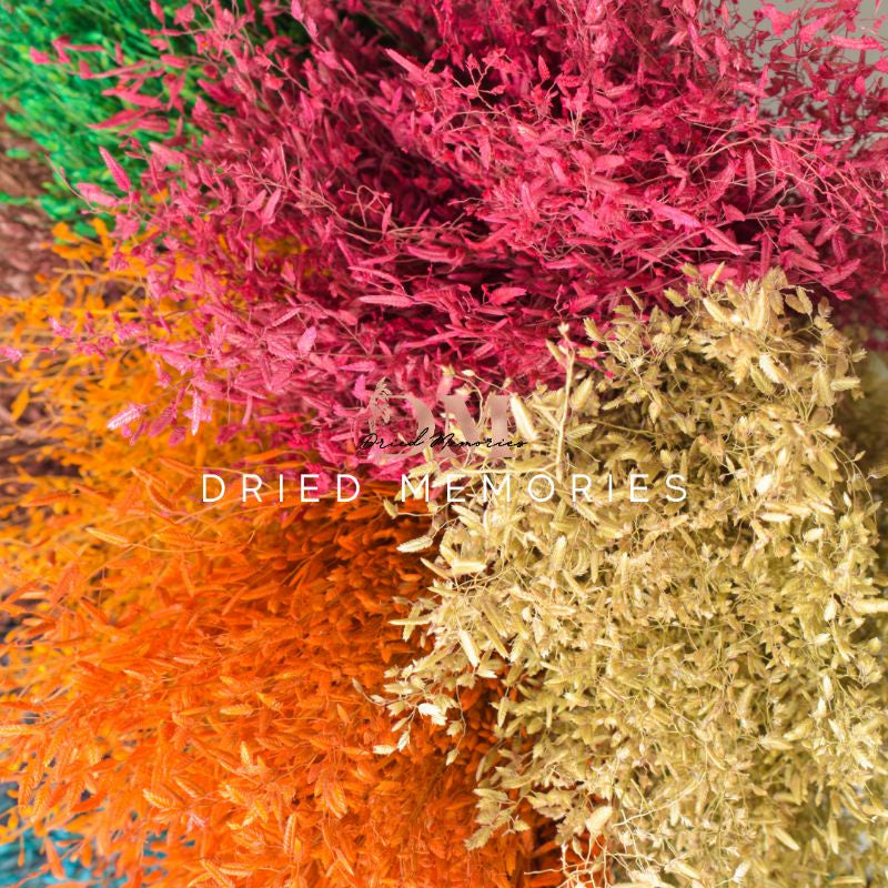 Dried Wild Misty Love Grass Flowers Gift Wedding Party Home Birthday DIY Dried Memories PH