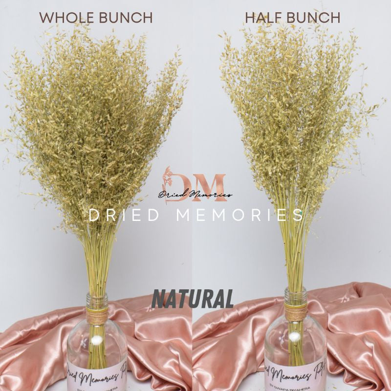 Dried Wild Misty Love Grass Flowers Gift Wedding Party Home Birthday DIY Dried Memories PH