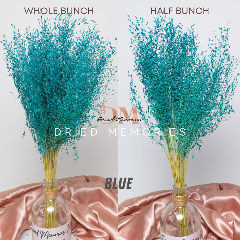 Dried Wild Misty Love Grass Flowers Gift Wedding Party Home Birthday DIY Dried Memories PH
