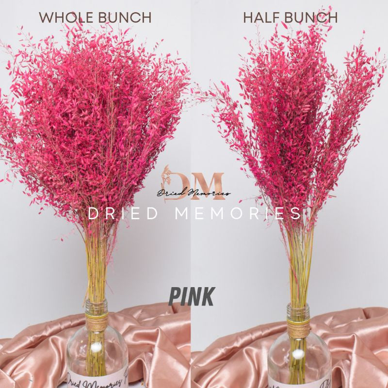 Dried Wild Misty Love Grass Flowers Gift Wedding Party Home Birthday DIY Dried Memories PH