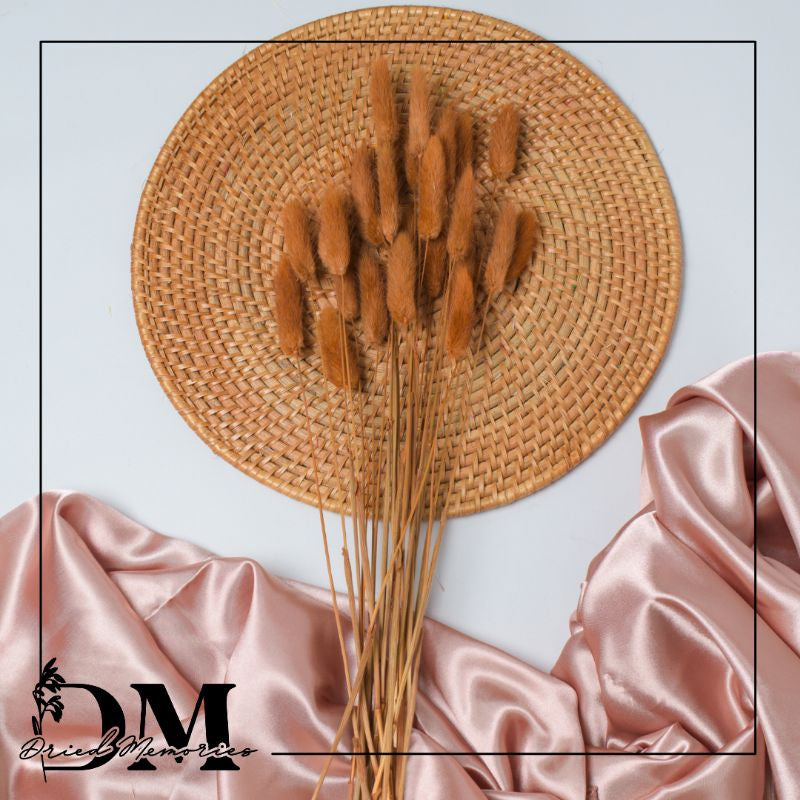 Dried Bunnytail Flowers (25 stems) Real Lagurus Decor Gift Wedding Party Home Birthday DIY