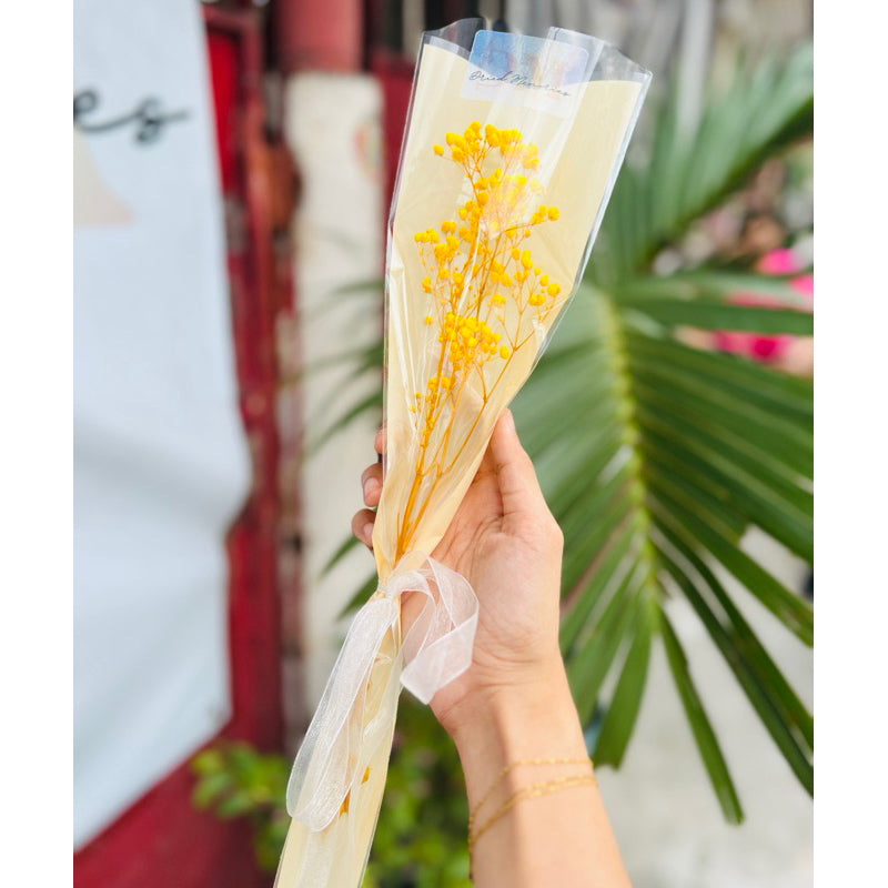 Dried Gypsophila Bouquet Preserved Flowers Gift DIY Wedding Birthday Celebration Home Decor