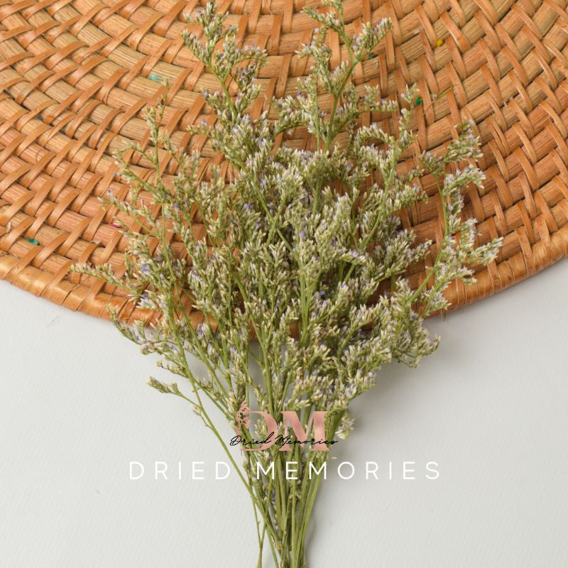 Dried Small Misty Preserved Real Dried Flowers Gift Wedding Party Home Birthday DIY