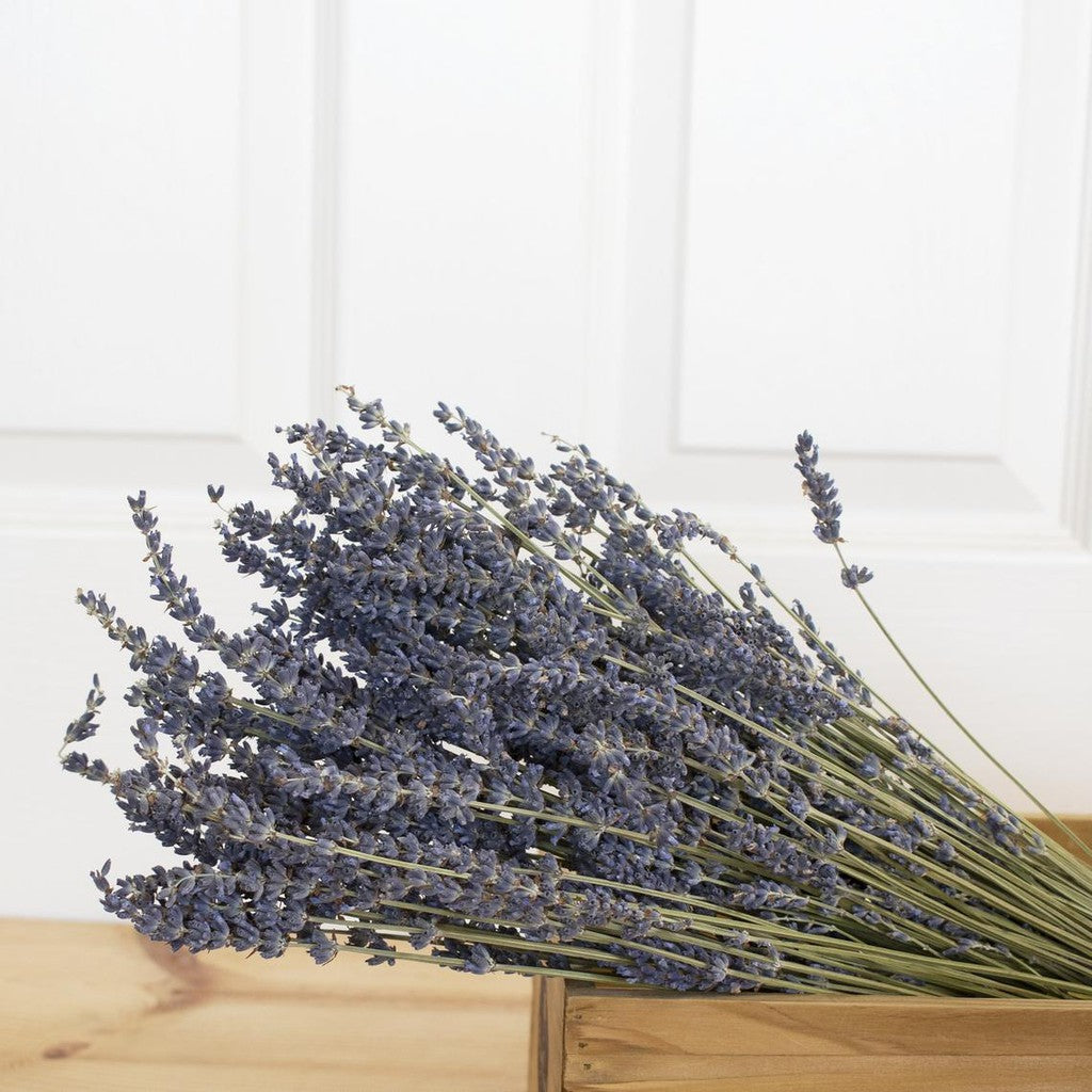 Lavender Dried Flower Real Decor Gift Wedding Party Home Birthday DIY | Dried Memories PH