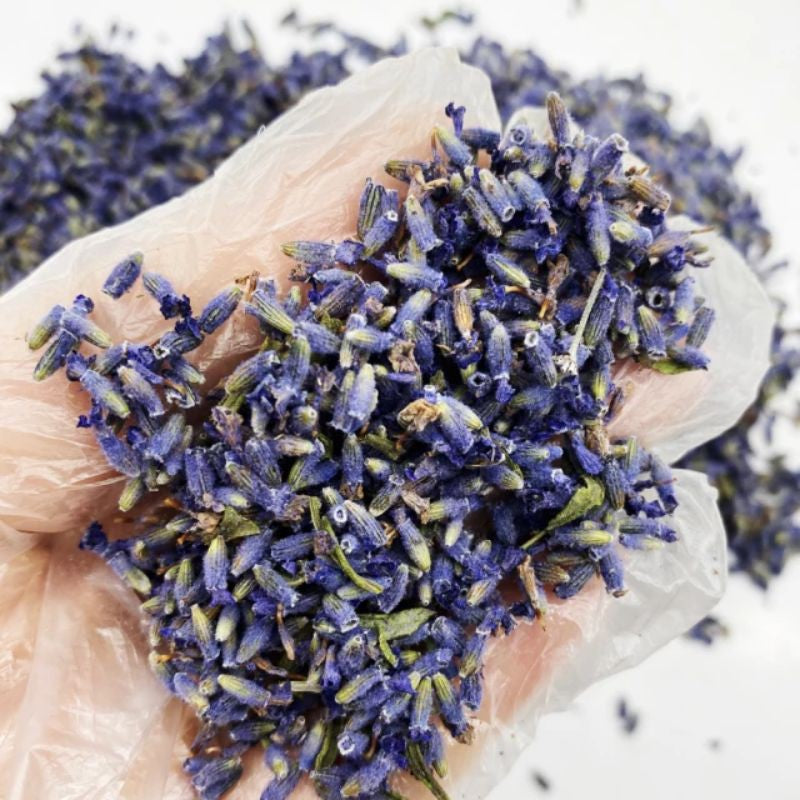 Dried Lavender Buds 5g Candle Making Decor Gift Wedding Party Home Birthday DIY | Dried Memories PH