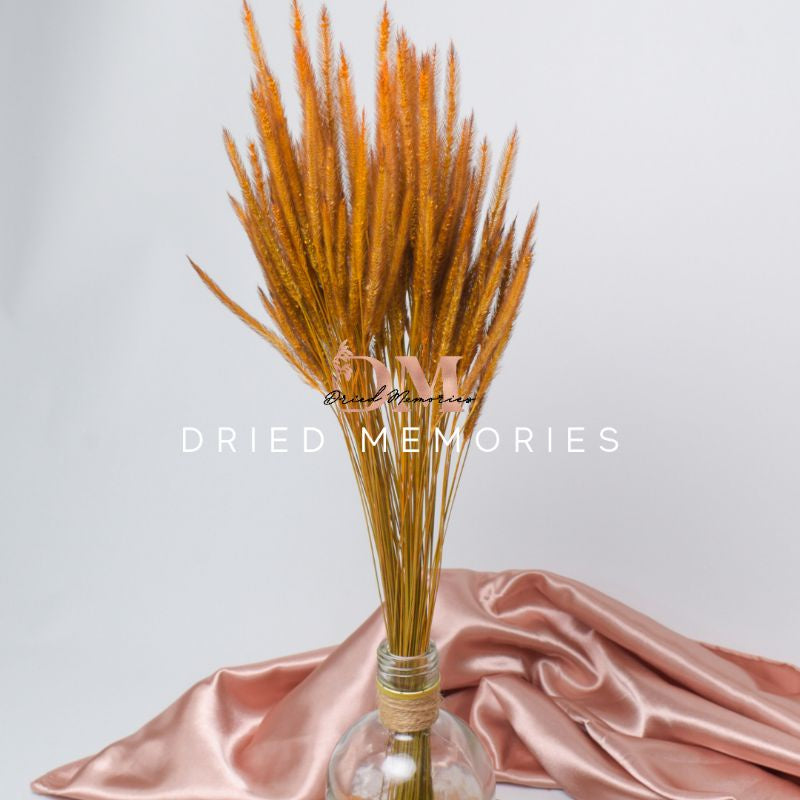 Dried Rat Tail (3 Stems for 5php) Real Flower Solidago Horse Gift Wedding Party Home Birthday DIY