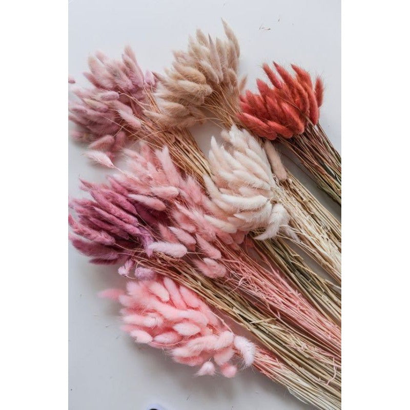 Bunnytail Dried Flower (10 Stems) Real flower Lagurus For Gift Wedding Party Home Birthday DIY