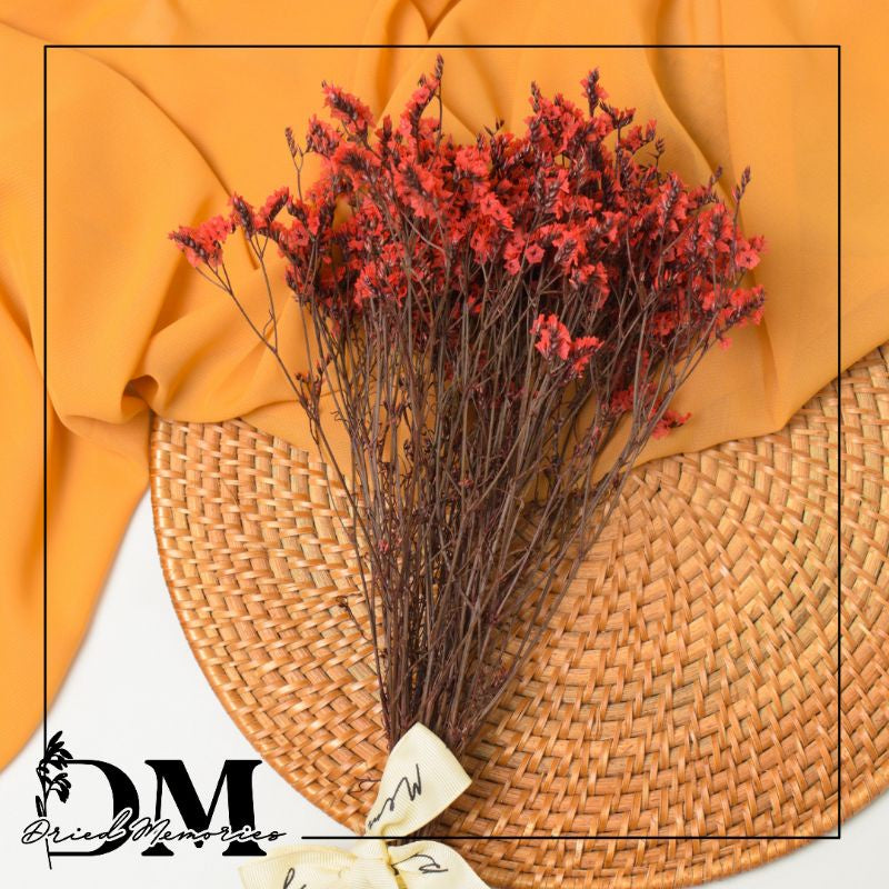 Dried Caspia Flower Real Flower Gift Wedding Party Home Birthday DIY | Dried Memories PH