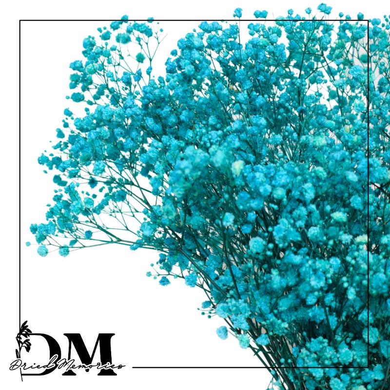 Babysbreath Medium Preserved Real Gypsophila Dried Flower Gift Wedding Party Home Birthday DIY