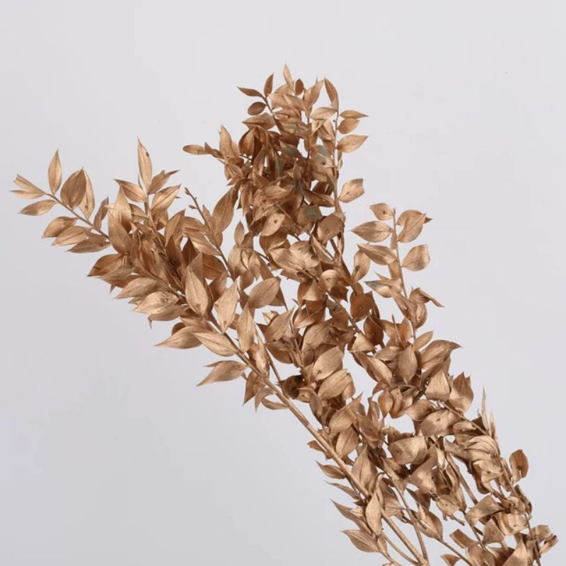 Dried Ruscus Real Flower Home Decor Gift Wedding Party Home Birthday DIY | Dried Memories PH