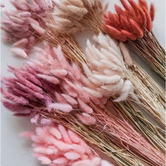 Dried Bunnytail Flowers (25 stems) Real Lagurus Decor Gift Wedding Party Home Birthday DIY