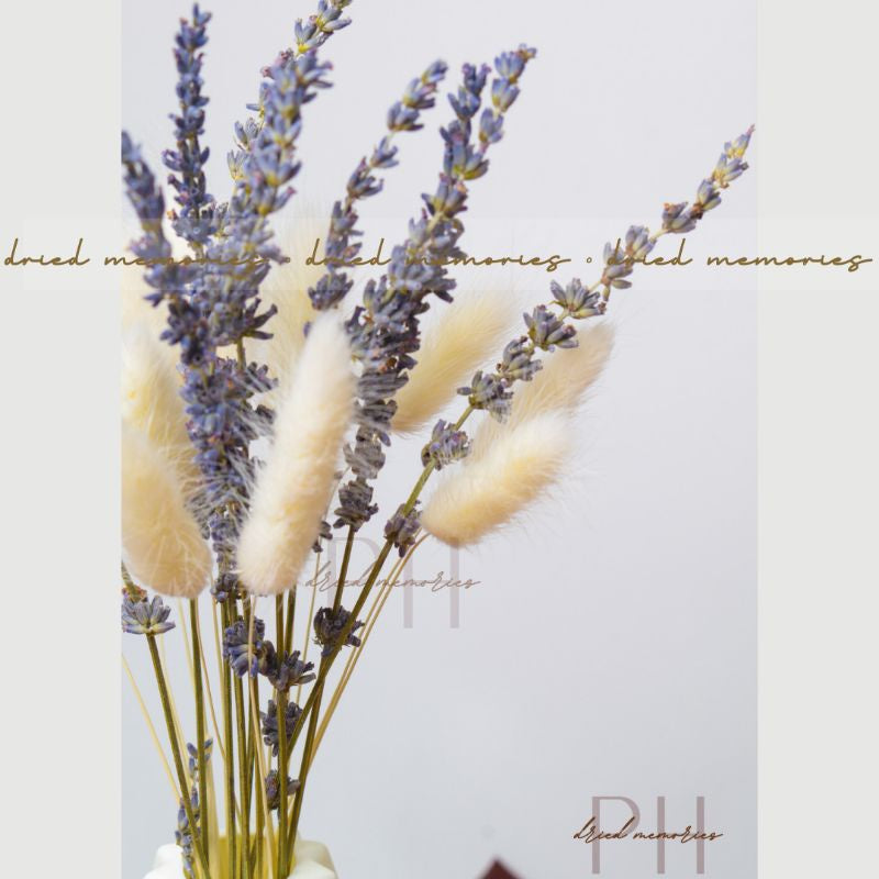 Dried Flowers as Set Real Preserved Dried  Gift Wedding Party Home Birthday DIY Dried Memories PH