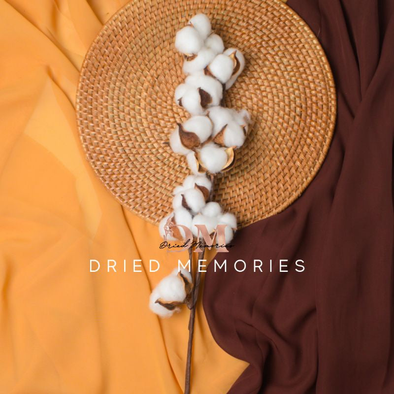 Dried Real Cotton Flower (10 cottons) Gift Wedding Party Home Birthday DIY | Dried Memories PH