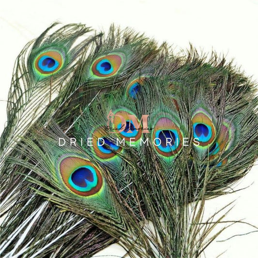 Real Peacock Feather Home Decor Cool Gifts DIY Eye Tail Feather for Masquerade Decoration Party