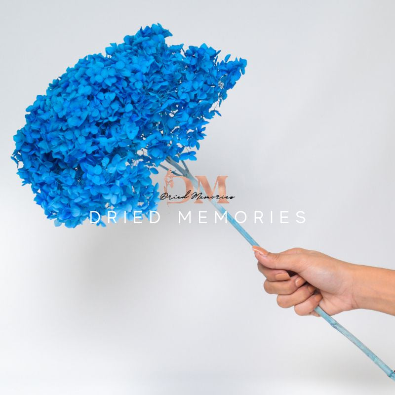 Dried Hydrangea Flower Real Flower Gift Wedding Party Home Birthday DIY | Dried Memories PH