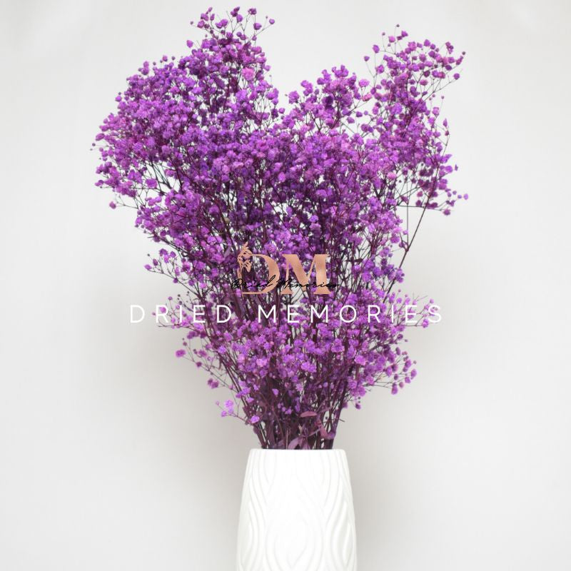 Dried Gypsophila (2-3 stems) Babysbreath Preserved Dried Flowers Gift Wedding Party Home Birthday