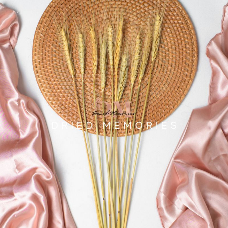 Dried Wheat Flower (10 stems) Real Decor Gift Wedding Party Home Birthday DIY | Dried Memories PH