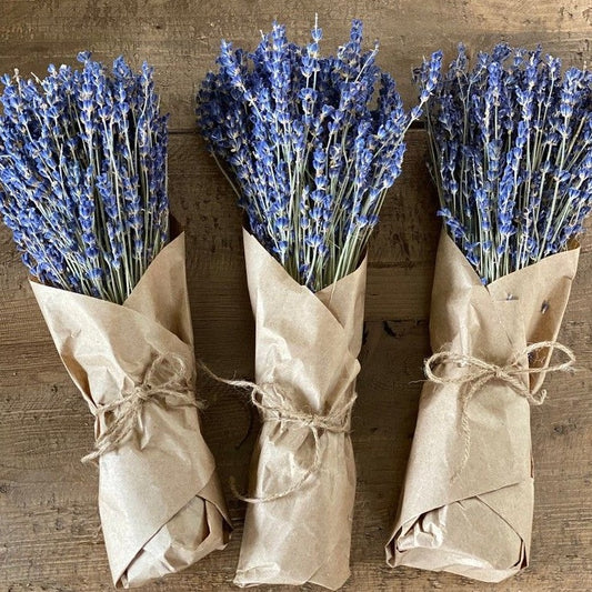 Lavender Dried Flower Real Decor Gift Wedding Party Home Birthday DIY | Dried Memories PH