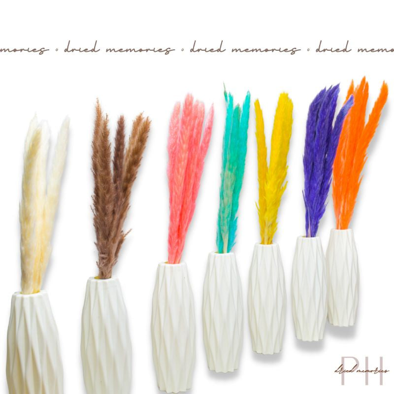 Australis Mini Pampas Dried Flower Real Decor Gift Wedding Party Home Birthday DIY | Dried Memories