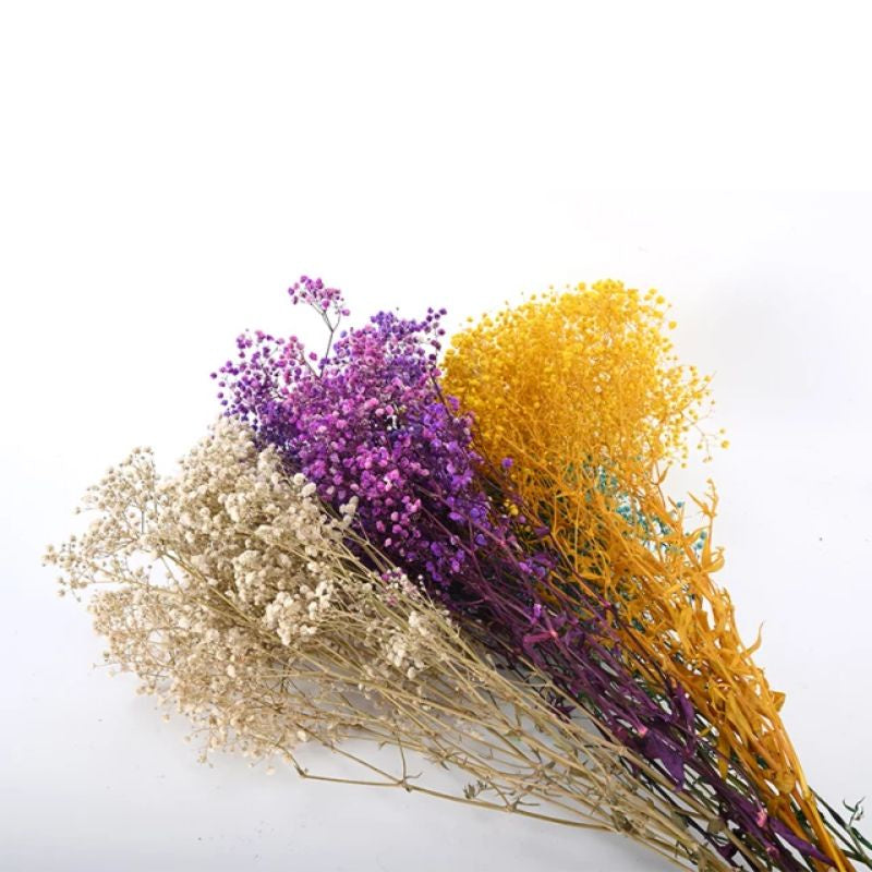 Dried Gypsophila (2-3 stems) Babysbreath Preserved Dried Flowers Gift Wedding Party Home Birthday