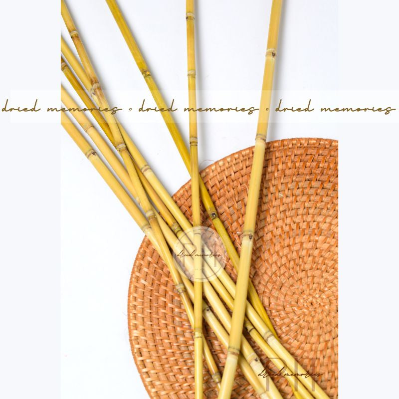 2 Feet Preserved Bamboo Stick 1 Stem Dried Real Flower Gift Wedding Party Home Birthday DIY