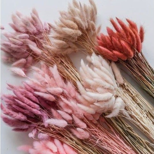 Dried Bunnytail Flowers (1 Stem) Real Lagurus Gift Wedding Party Home Birthday DIY | Dried Memories