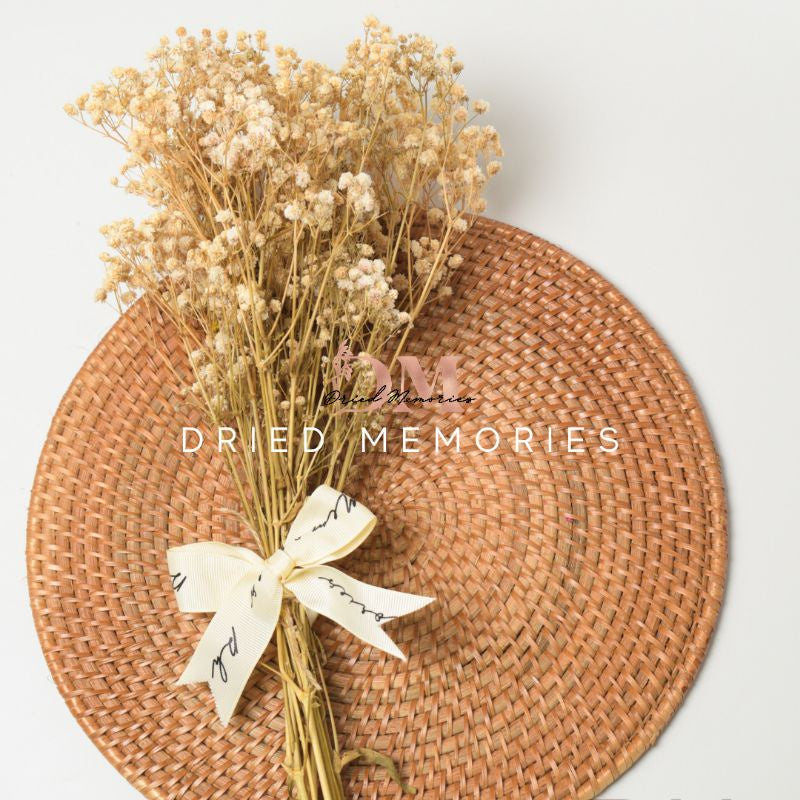Babysbreath Medium Preserved Real Gypsophila Dried Flower Gift Wedding Party Home Birthday DIY