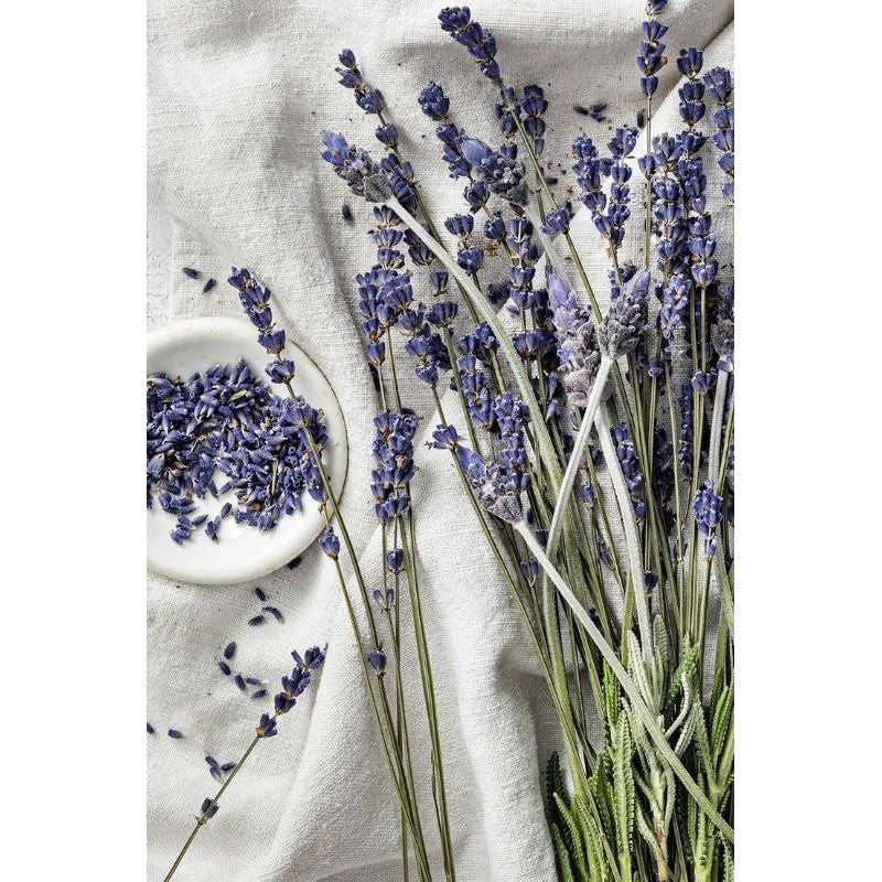 Lavender Dried Flower Real Decor Gift Wedding Party Home Birthday DIY | Dried Memories PH