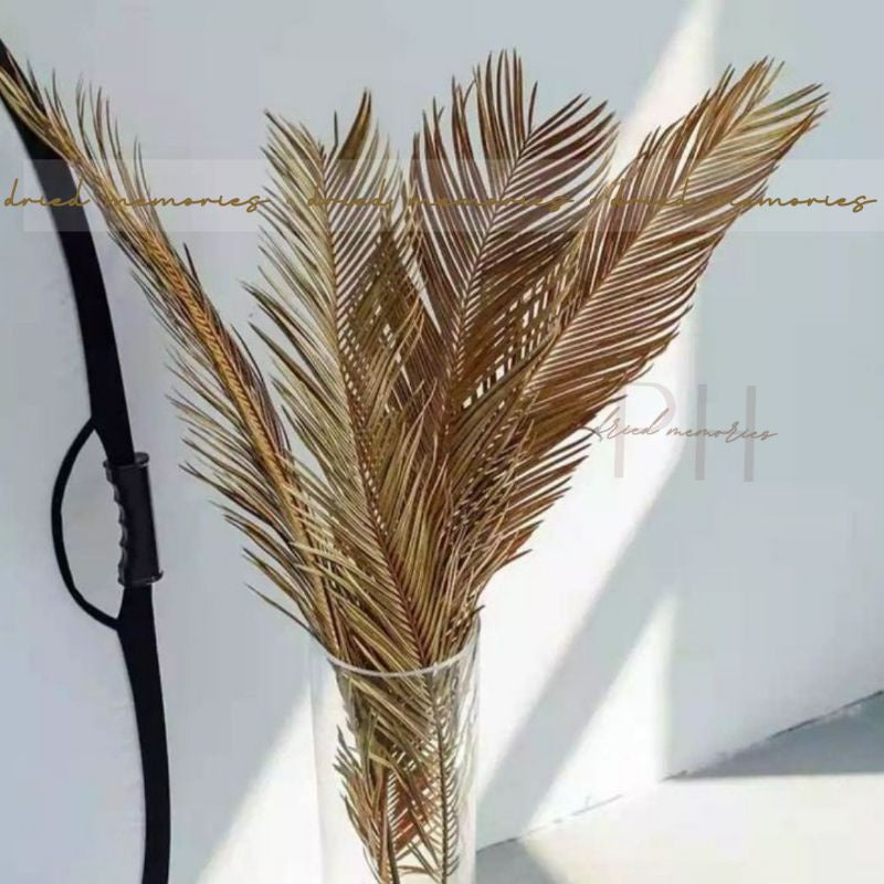 Dried Oliva (1 stem) Real Flower Home Decoration Dried Flowers | Dried Memories PH