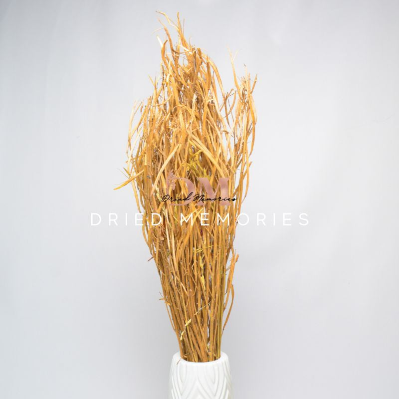 Dried Local Oats Real Flower Home Decor Decor Gift Wedding Party Home Birthday DIY | Dried Memories