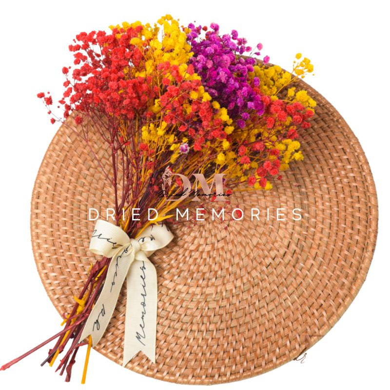 Babysbreath Medium Preserved Real Gypsophila Dried Flower Gift Wedding Party Home Birthday DIY