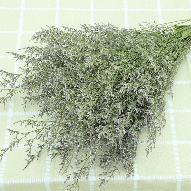 Dried Misty (Big bunch) Flower Real Decor Gift Wedding Party Home Birthday DIY | Dried Memories PH