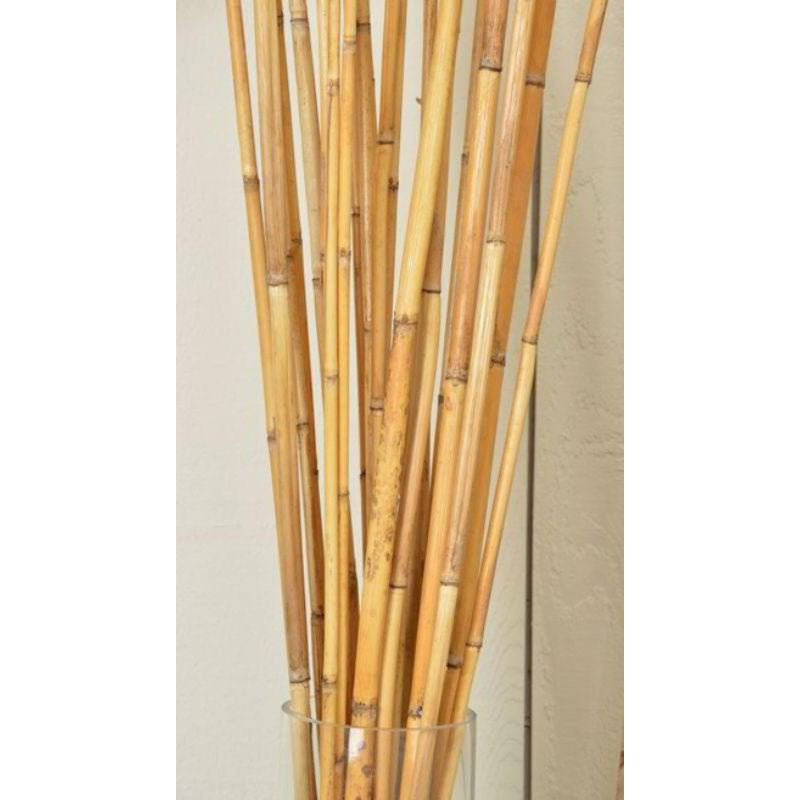 2 Feet Preserved Bamboo Stick 1 Stem Dried Real Flower Gift Wedding Party Home Birthday DIY