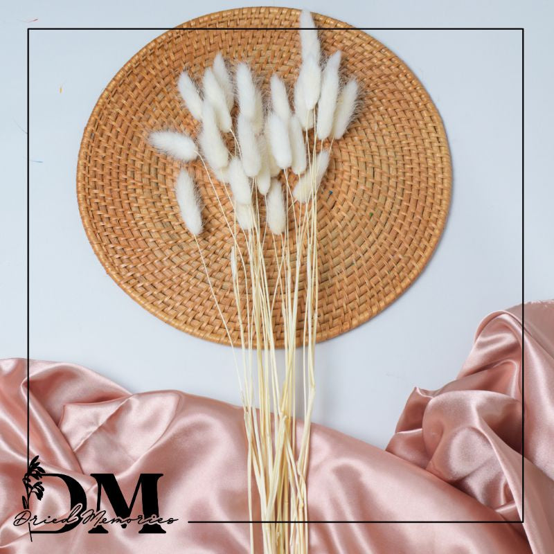 Dried Bunnytail Flowers (25 stems) Real Lagurus Decor Gift Wedding Party Home Birthday DIY