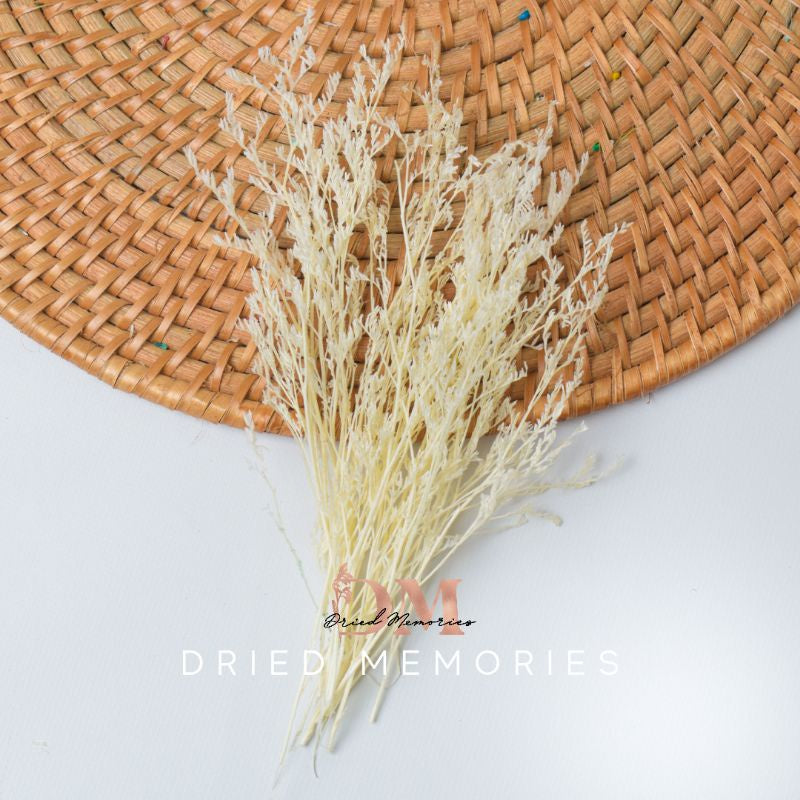 Dried Small Misty Preserved Real Dried Flowers Gift Wedding Party Home Birthday DIY