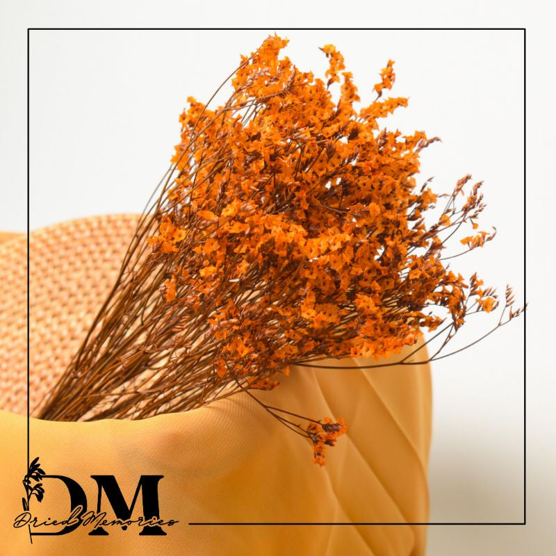 Dried Caspia (2-3 stems) Preserved Real Misty Flower Gift Wedding Party Home Birthday DIY