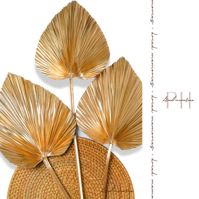 Dried Gold Palm Spear Anahaw Dried Flowers Gift Wedding Party Home Birthday DIY Dried Memories PH