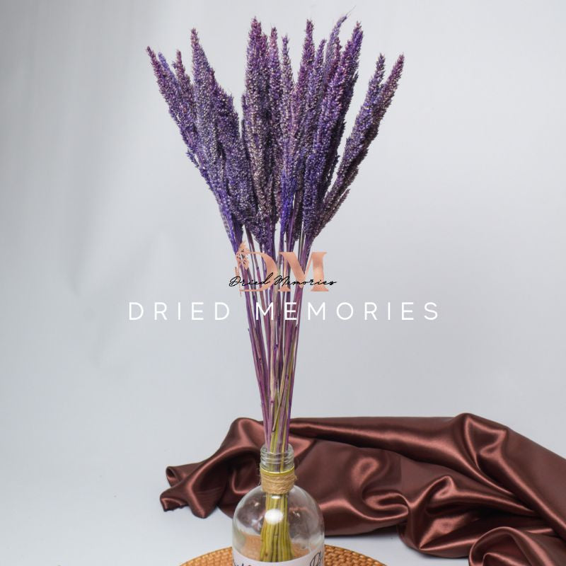 Dried Trigo Wheat Flower Real Dried Hare Decor Gift Wedding Party Home Birthday DIY | Dried Memories