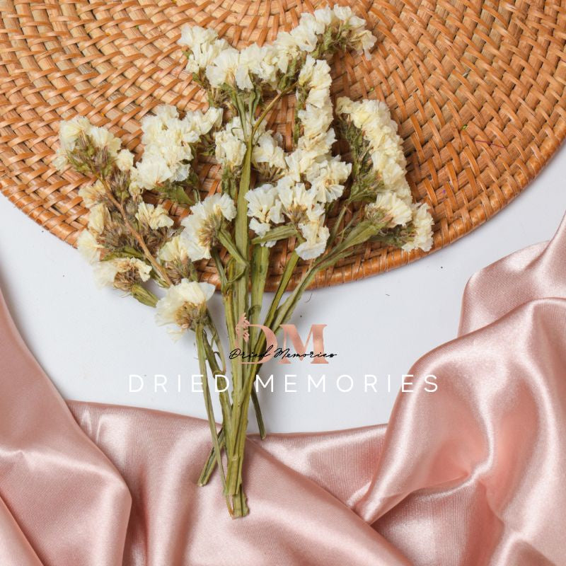 Dried Statice Real Flower Decor Gift Wedding Party Home Birthday DIY | Dried Memories PH