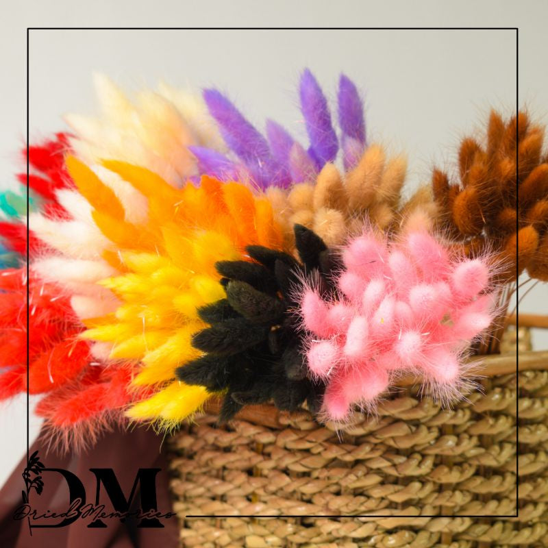 Dried Bunnytail Flowers (25 stems) Real Lagurus Decor Gift Wedding Party Home Birthday DIY