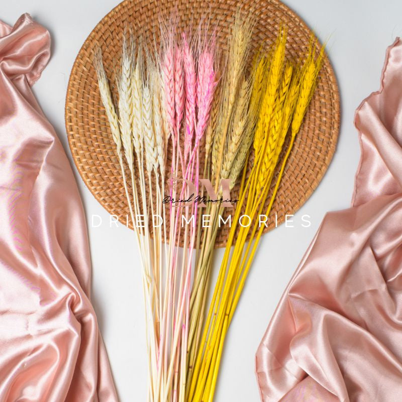 Dried Wheat Flower (10 stems) Real Decor Gift Wedding Party Home Birthday DIY | Dried Memories PH