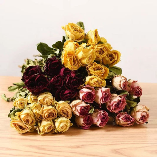 Big Head Preserved Dried Roses Real Flower Decor Gift Wedding Party Home Birthday DIY